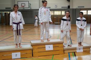 seibukan_Askoe_OOEKarate_Landesmeisterschaft_2013_085.jpg