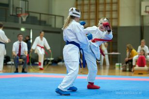 seibukan_Askoe_OOEKarate_Landesmeisterschaft_2013_141.jpg