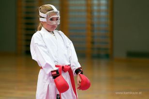 seibukan_Askoe_OOEKarate_Landesmeisterschaft_2013_143.jpg