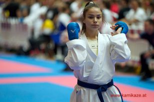 seibukan_Austria_Junior_Open_Walserfeld_2014_081.jpg