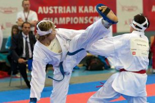 seibukan_Austrian_Champions_Cup_2011_114.jpg