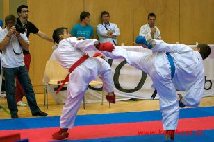 seibukan_Austrian_Junior_Open_2011_085.jpg