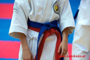 seibukan_Austrian_Junior_Open_2011_099.jpg