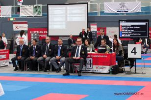 seibukan_Austrian_Karate_Championscup_2015_013.jpg