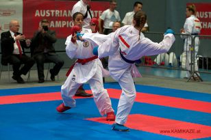 seibukan_Austrian_Karate_Championscup_2015_158.jpg