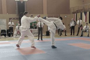 seibukan_EGKF_Senior_Goju_Ryu_Championships_2013_015.jpg