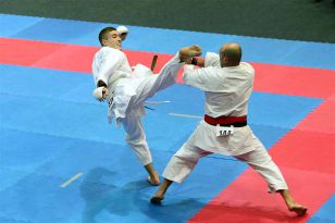 seibukan_ESKA_Shotokan_Europameisterschaft_in_Wels_2009_048.jpg