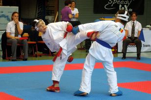 seibukan_Goju_Ryu_EM_Heilbronn_2014_032.jpg