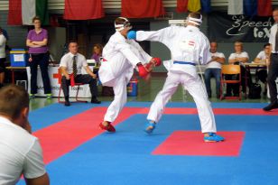 seibukan_Goju_Ryu_EM_Heilbronn_2014_064.jpg