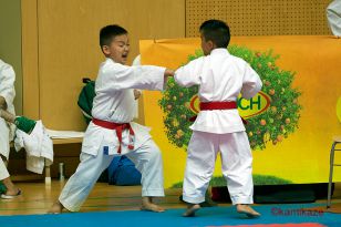 seibukan_Junior_Open_2016_038.jpg