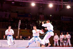 seibukan_Karate1_Premier_League_and_Youth_World Cup_Salzburg_2013_089.jpg