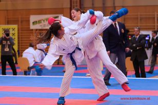 seibukan_Karate1_Premier_League_and_Youth_World Cup_Salzburg_2013_195.jpg