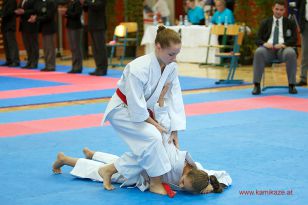 seibukan_Oesterr_Meisterschaft_U12_U21_Wels_2012_049.jpg