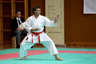 seibukan_Oesterr_Shotokan_Meisterschaft_2011_022.jpg