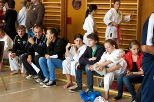 seibukan_Oesterr_Shotokan_Meisterschaft_2011_041.jpg