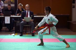 seibukan_Oesterr_Shotokan_Meisterschaft_2013_005.jpg