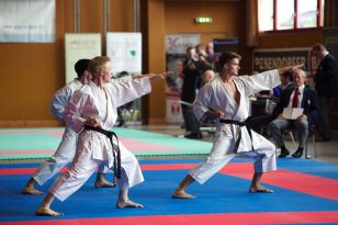 seibukan_Oesterr_Shotokan_Meisterschaft_2013_013.jpg