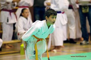 seibukan_Oesterr_Shotokan_Meisterschaft_StGeorgen_2012_019.jpg