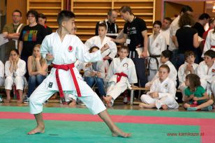 seibukan_Oesterr_Shotokan_Meisterschaft_StGeorgen_2014_018.jpg