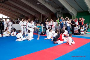 seibukan_Oesterr_Shotokan_Meisterschaft_StGeorgen_2015_040.jpg