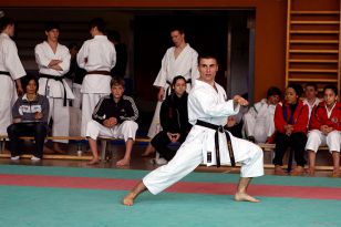 seibukan_Shotokan_Cup_2010_013.jpg