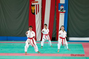 seibukan_Shotokan_OEM_2016_042.jpg