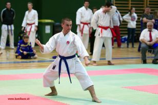 seibukan_Styrian_Open_Fuerstenfeld_2013_016.jpg