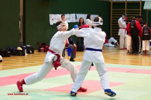 seibukan_Styrian_Open_Fuerstenfeld_2013_057.jpg