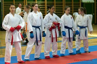 seibukan_Styrian_Open_Fuerstenfeld_2014_063.jpg