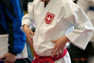 seibukan_WADO_KAI_Europameisterschaft_2012_040.jpg