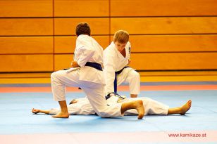 seibukan_WADO_KAI_Europameisterschaft_2012_053.jpg