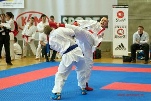 seibukan_WADO_KAI_Europameisterschaft_2012_094.jpg