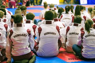 seibukan_Wado_Kai_EM_in_Budapest_2013_004.jpg