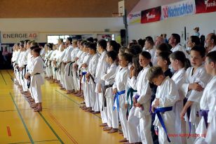 seibukan_8_Int_Kamikaze_Karate_Sommercamp_Neuhofen_2016_011.jpg