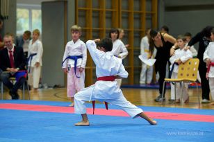 seibukan_Askoe_OOEKarate_Landesmeisterschaft_2013_018.jpg