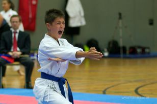 seibukan_Askoe_OOEKarate_Landesmeisterschaft_2013_044.jpg