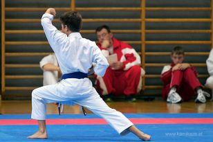 seibukan_Askoe_OOEKarate_Landesmeisterschaft_2013_074.jpg