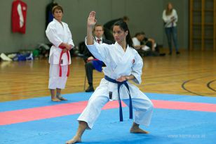 seibukan_Askoe_OOEKarate_Landesmeisterschaft_2013_119.jpg