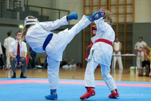 seibukan_Askoe_OOEKarate_Landesmeisterschaft_2013_136.jpg