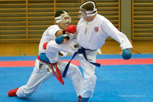 seibukan_Askoe_OOEKarate_Landesmeisterschaft_2013_158.jpg