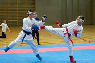 seibukan_Askoe_OOEKarate_Landesmeisterschaft_2013_166.jpg