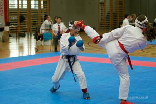 seibukan_Askoe_OOEKarate_Landesmeisterschaft_2013_173.jpg