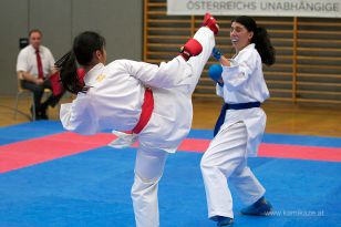 seibukan_Askoe_OOEKarate_Landesmeisterschaft_2013_190.jpg