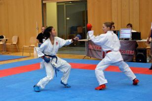 seibukan_Austrian_Junior_Open_2009_041.jpg