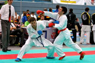 seibukan_Austrian_Karate_Champions_Cup_2010_068.jpg