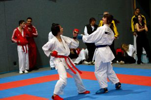 seibukan_Austrian_Karate_Champions_Cup_2010_073.jpg