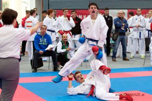 seibukan_Austrian_Karate_Championscup_2015_115.jpg