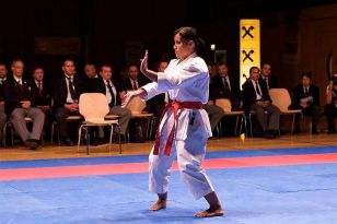 seibukan_Austrian_Open_Golden_League_2009_027.jpg