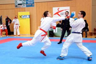 seibukan_Austrian_Open_Golden_League_2009_062.jpg