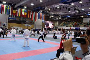 seibukan_ESKA_Shotokan_Europameisterschaft_in_Wels_2009_038.jpg